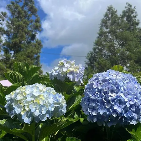 Miramar Hébergement de vacances *