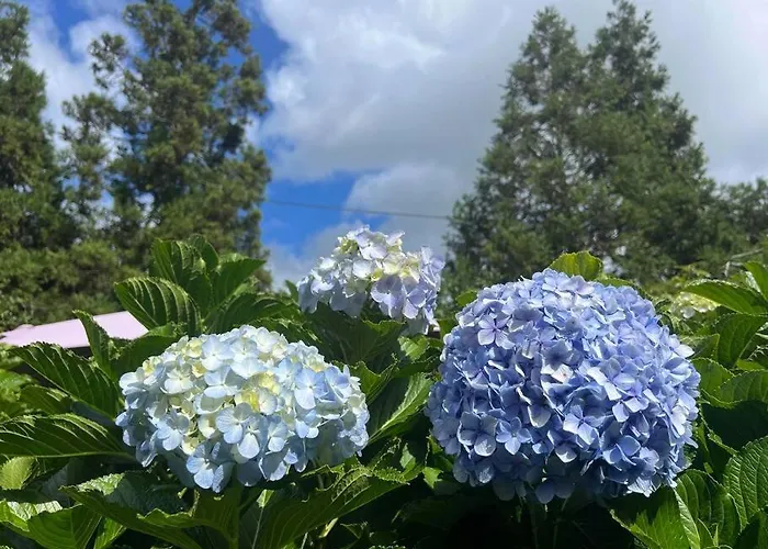 Miramar Ferienhaus *